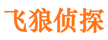 安达市私家侦探公司